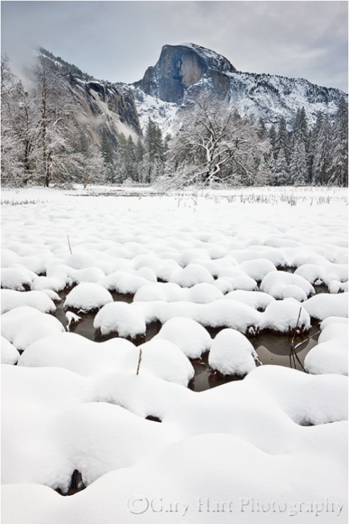 Gary Hart Photography: Fresh Snow, Cook's Meadow, Yosemite