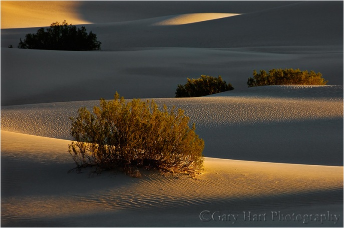 First Light, Mesquite Flat Dunes, Death Valley