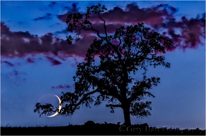 Goodnight Moon, Sierra Foothills, California