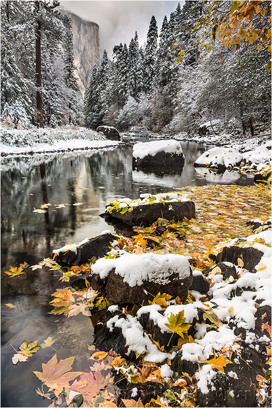 Snow on Autumn Leaves, El Capitan and the Merced River, Yosemite