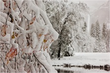 Gary Hart Photography: Fall Into Winter, Bridalveil Fall from Valley View, Yosemite