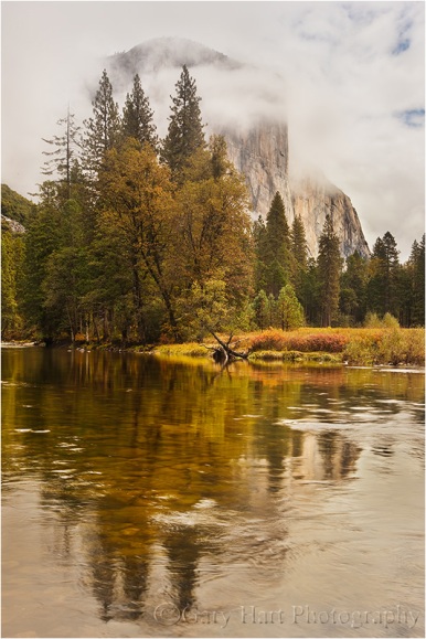 Gary Hart Photography: Shrouded El Capitan, Valley View, Yosemite