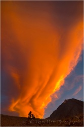 Sky on Fire, McGee Creek, Eastern Sierra