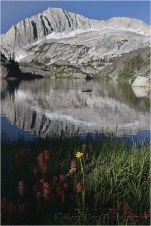 Wildflowers and North Peak, Twenty Lakes Basin