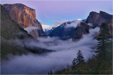 Twilight Fog, Yosemite Valley