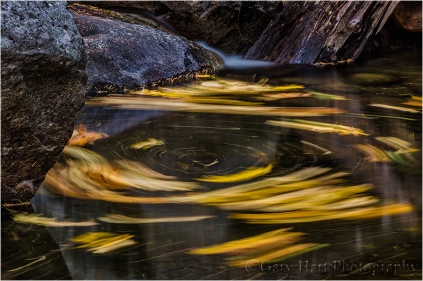 Gary Hart Photography, Autumn Swirl, Yosemite