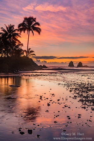 Gary Hart Photography: Tropical Sunrise, Hawaii Big Island