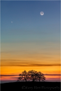 Gary Hart Photography: Heaven and Earth, New Moon and Venus, Sierra Foothills