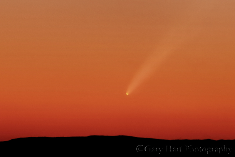 Comet McNaught, California