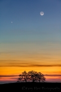 Gary Hart Photography: The Moon and Venus, Sierra Foothills, California
