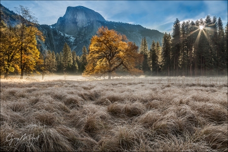 Autumn Glow, Cook's Meadow, Yosemite