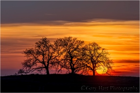 Gary Hart Photography: California Sunset, Sierra Foothills