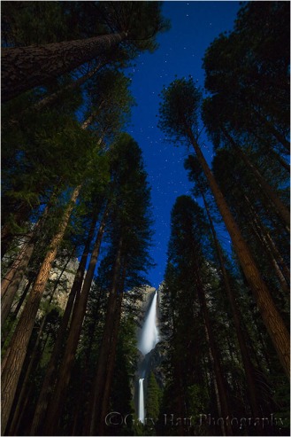 Gary Hart Photography: Moonlight, Yosemite Falls, Yosemite