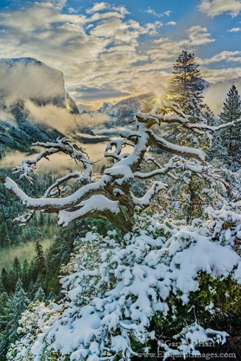 Gary Hart Photography: Morning Glory, Sunrise Clearing Storm, Yosemite Valley