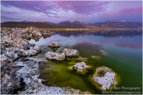 Gary Hart Photography: Dawn, Mono Lake and the Sierra Crest