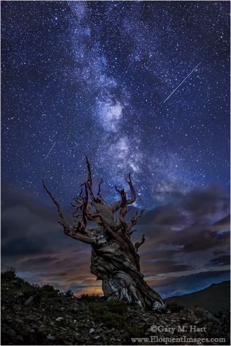 Gary Hart Photography: Bristlecone Night, Milky Way from the White Mountains, California