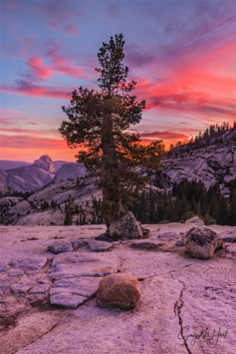 Gary Hart Photography: Sunset Fire, Olmsted Point, Yosemite