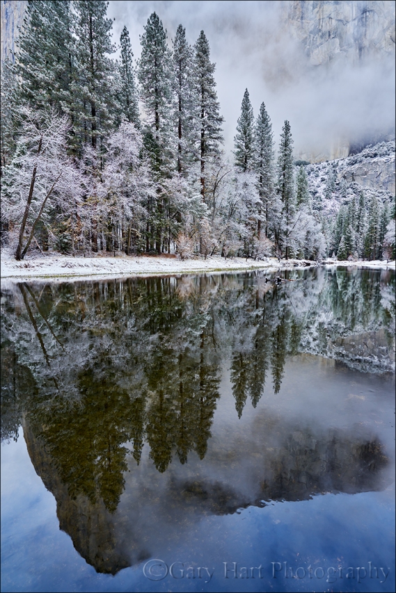 Gary Hart Photography: Winter Storm Reflection, El Capitan, Yosemite