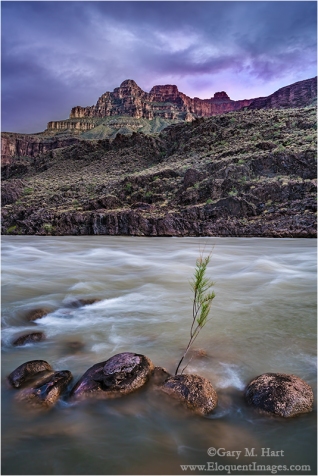 Gary Hart Photography: Nightfall, Colorado River, Grand Canyon