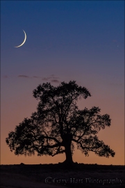 Gary Hart Photography: New Moon, Sierra Foothills, California