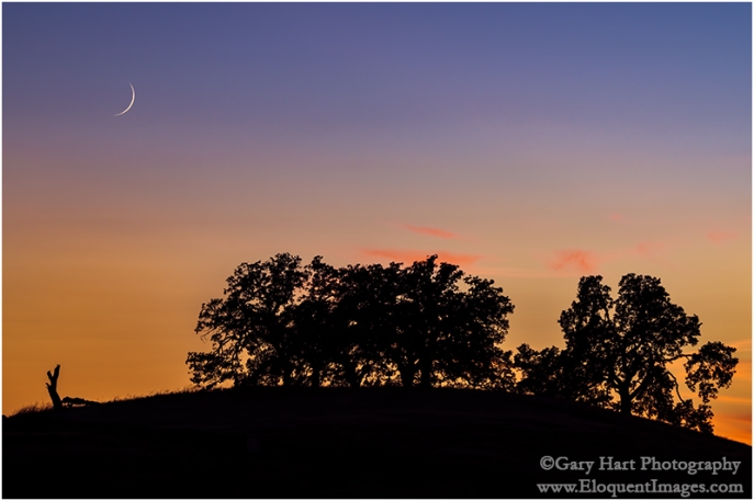 Gary Hart Photography: Sunset Pastoral, Sierra Foothills