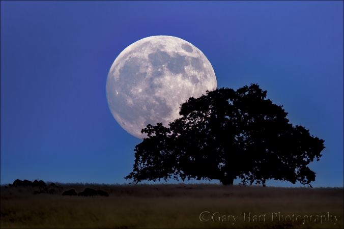 Gary Hart Photography: Foothill Moonrise, Sierra Foothills, California
