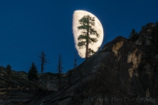 Gary Hart Photography: Big Moon, Yosemite