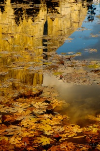 Gary Hart Photography: Autumn Reflection, El Capitan, Yosemite