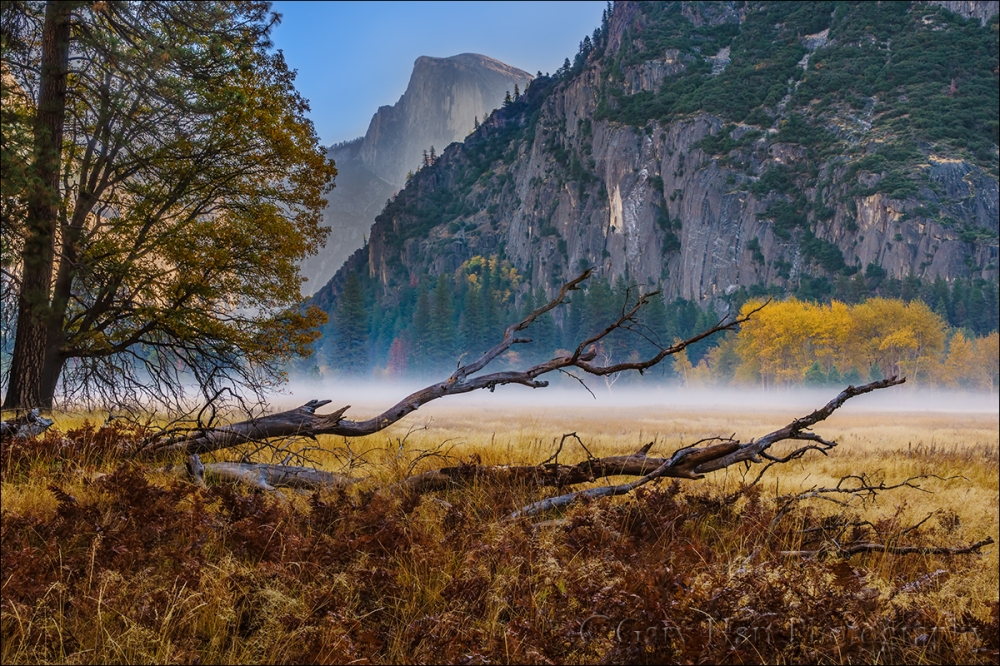 Gary Hart Photography: Autumn Morning, Leidig Meadow, Yosemite