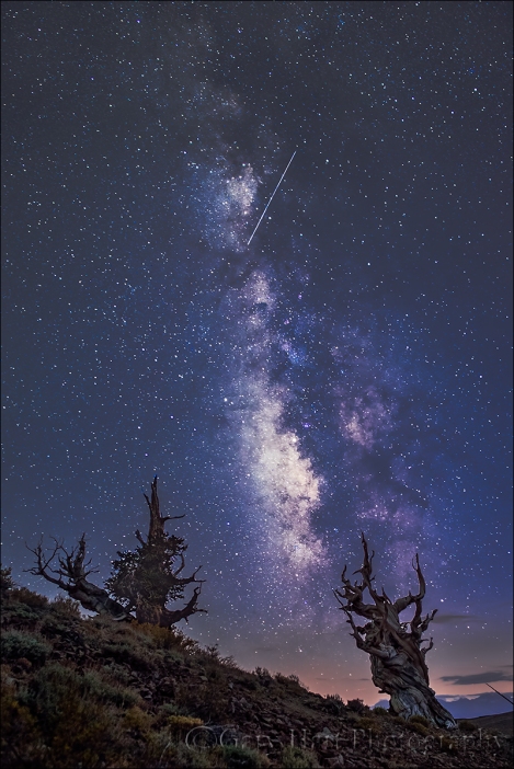 Gary Hart Photography: Meteor and Milky Way, Bristlecone Pine Forest, White Mountains, California