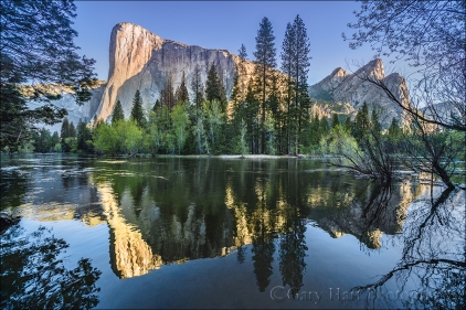 Gary Hart Photography: El Capitan and Three Brothers Reflection, Merced River, Yosemite