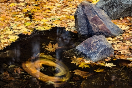 Gary Hart Photography: Autumn Spiral, Bridalveil Creek, Yosemite