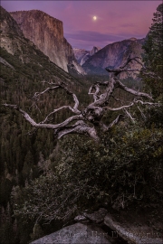 Gary Hart Photography: Magenta Moonrise, Yosemite Valley, Yosemite