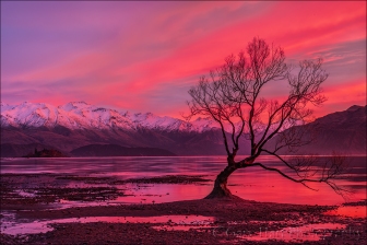 Gary Hart Photography: Crimson Morning, Lake Wanaka, New Zealand