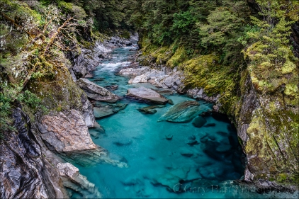 Gary Hart Photography: Blue Pools, Haast Pass, New Zealand