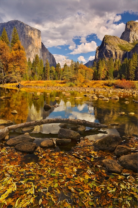 Gary Hart Photography: Floating Leaves, Valley View, Yosemite