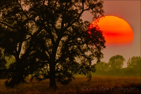 Gary Hart Photography: Sun and Smoke, Sierra Foothills, California