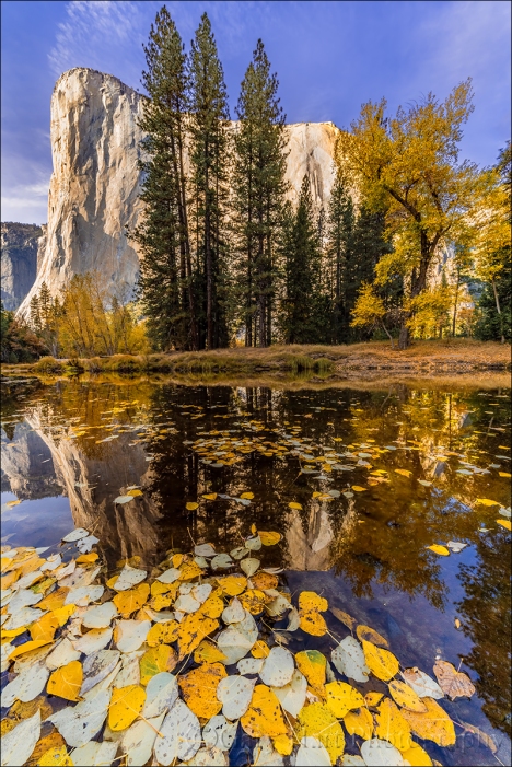 Gary Hart Photography: Floating Color, El Capitan, Yosemite