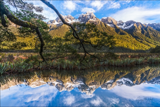Gary Hart Photography: Reflection, Mirror Lakes, New Zealand