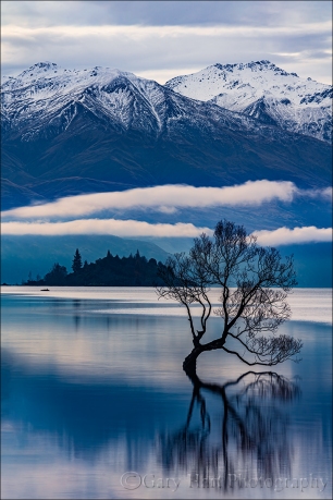 Gary Hart Photography: Lone Willow Reflection, Lake Wanaka, New Zealand