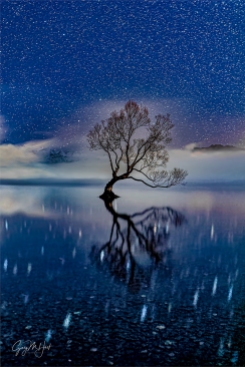 Gary Hart Photography: Starry Night, Lake Wanaka, New Zealand
