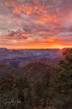Gary Hart Photography: Sunrise Sunstar, Grandview Point, Grand Canyon