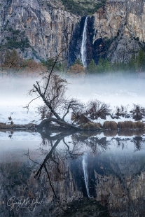 Gary Hart Photography: Winter Chill, Bridalveil Fall Reflection, Yosemite
