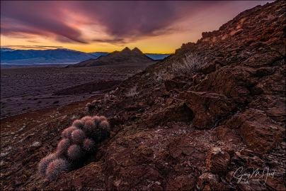 Gary Hart Photography: Prickly Sunset, Hell's Gate, Death Valley