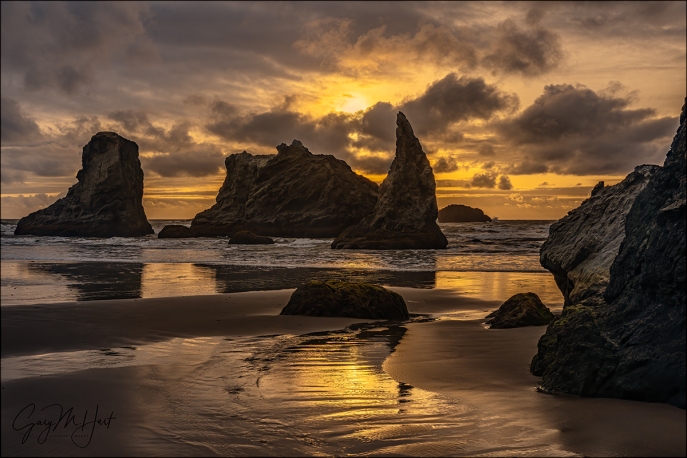 Gary Hart Photography: Howling Dog at Sunset, Bandon Beach, Oregon