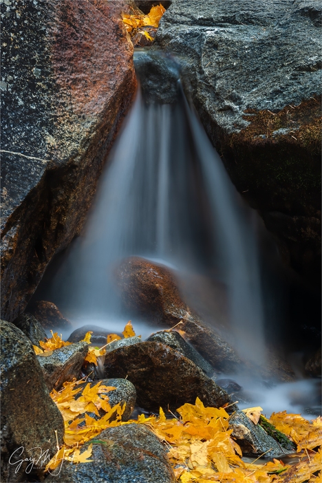 Gary Hart Photography: Autumn Veil, Bridalveil Creek, Yosemite