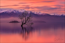 Gary Hart Photography: Red Sunset, Lake Wanaka, New Zealand
