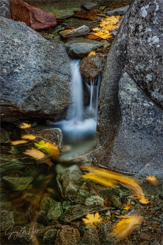 Gary Hart Photography: Autumn Drift, Bridalveil Creek, Yosemite