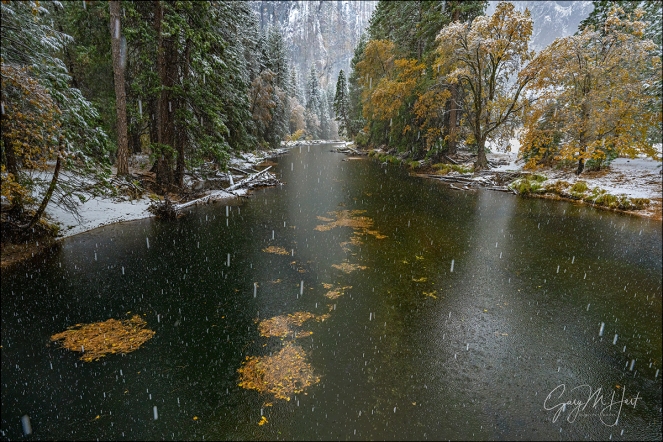 Gary Hart Photography: Falling Snow, Cathedral Rocks, Yosemite