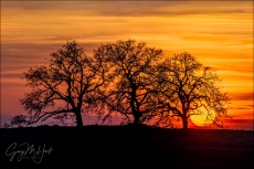 Gary Hart Photography: California Sunset, El Dorado Hills, Sierra Foothills